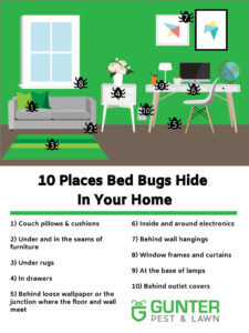 10 places bed bugs hide in your home. Our bed bug exterminators know where to find them.