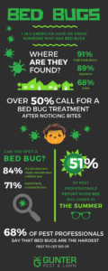 Bed Bug Exterminators infographic