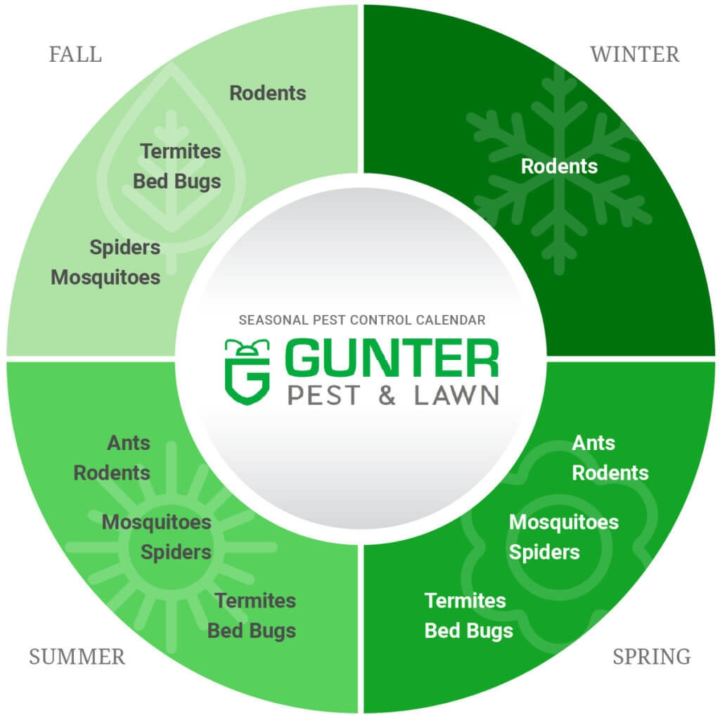 Gunter's Pest & Lawn calendar for seasonal pest control threats.