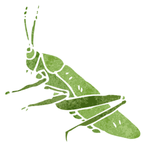 Grasshoppers look innocent enough, but looks can be deceiving. Learn How to Identify and Get Rid of Lawn Pests.