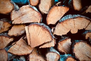 Make sure your woodpile is moved away from your house, treated and move it often to disrupt insects.