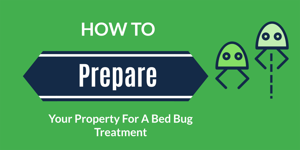 How To Prepare Your Property For Bed Bug Heat Treatment