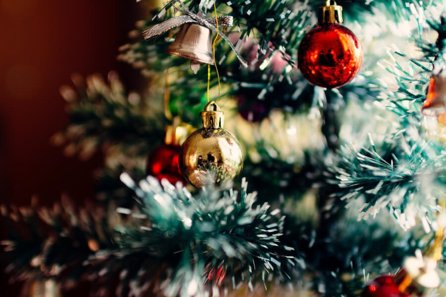 How Do You Ensure A PestFree Christmas Tree? Gunter Pest & Lawn