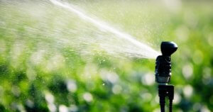 Install a watering system for a pest-free yard