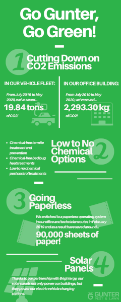 Go Gunter, Go Green! - Infographic
