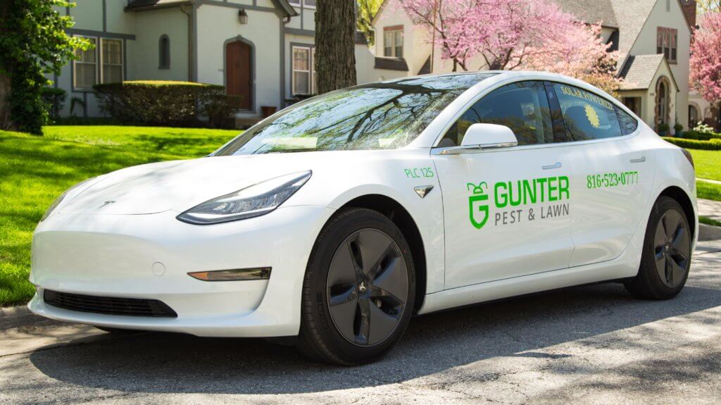 Gunter Pest & Lawn is committed to going green and providing eco-friendly pest control to Kansas City, MO