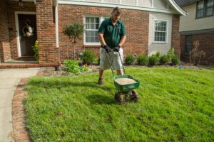 Winterizer Fall Lawn Care