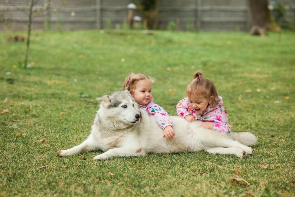 Kids playing with their dog in their green yard.