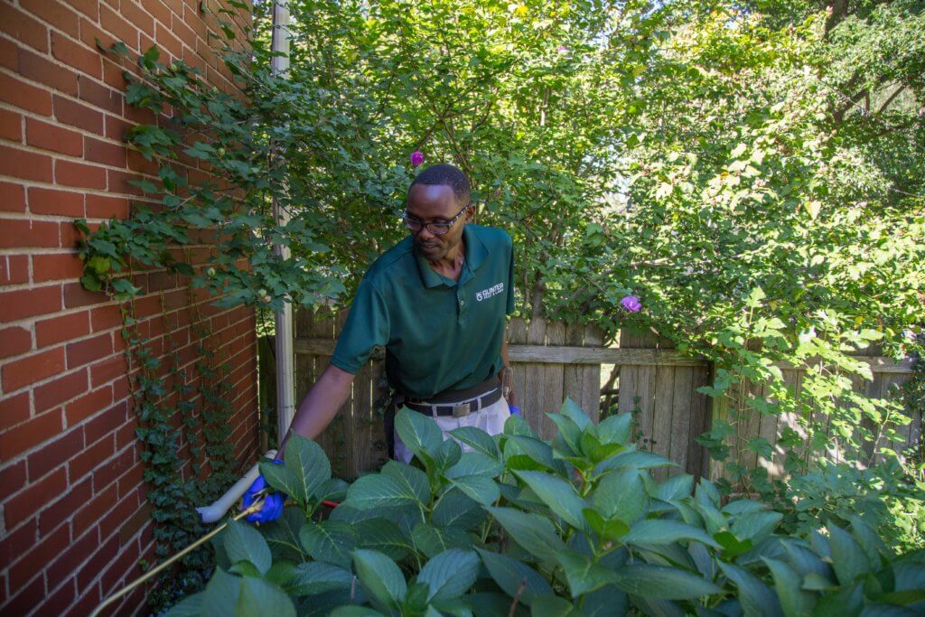 Residential Pest Control Overland Park. Staying Protected.