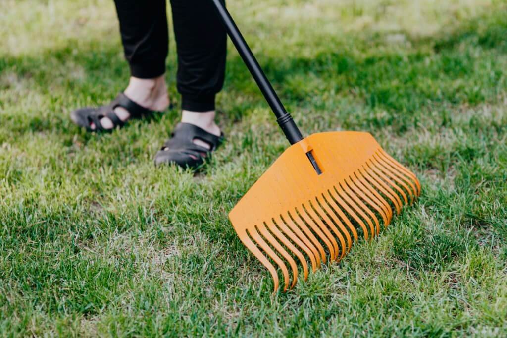 Raking troubled grass areas in a Kansas City lawn.