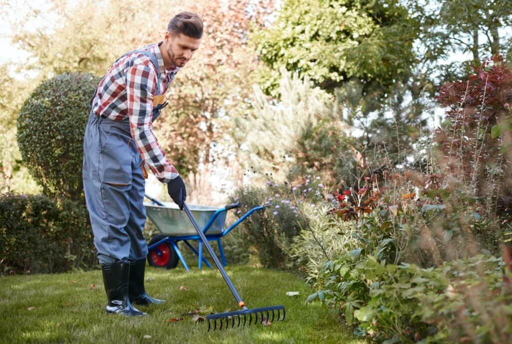 Raking leaves at a Kansas City, MO home.