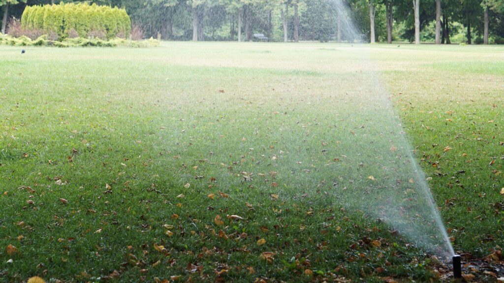 Watering the lawn in Kansas City, MO. How To Prepare Your Lawn For Treatment.