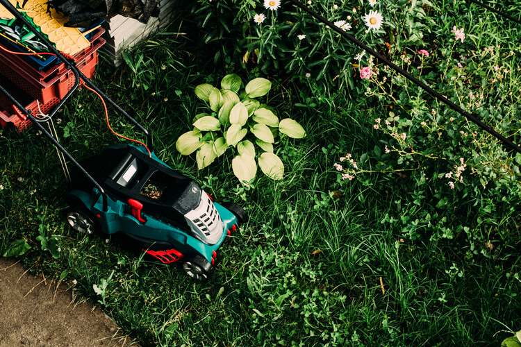 Kansas City Lawn Care Company Lawn Maintenance KCMO