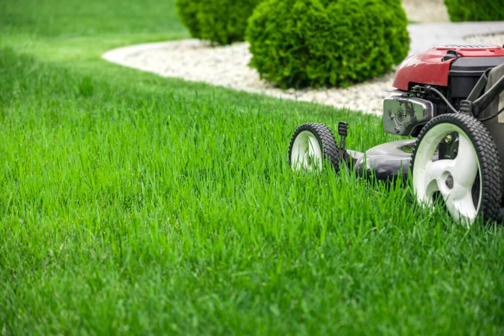 Mow Your Lawn Regularly. Someone Mowing Their Lawn.