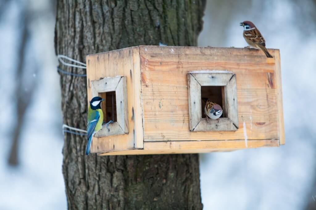Bird feeders. tree house for the birds. Bird feeder in winter.