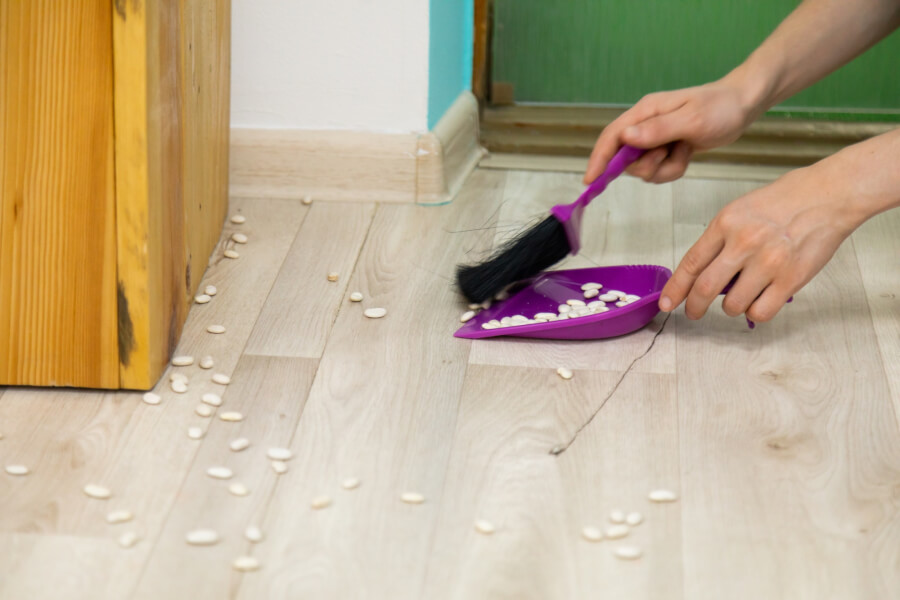 7 Tips For Pest Proofing Your Pantry Gunter Pest Lawn