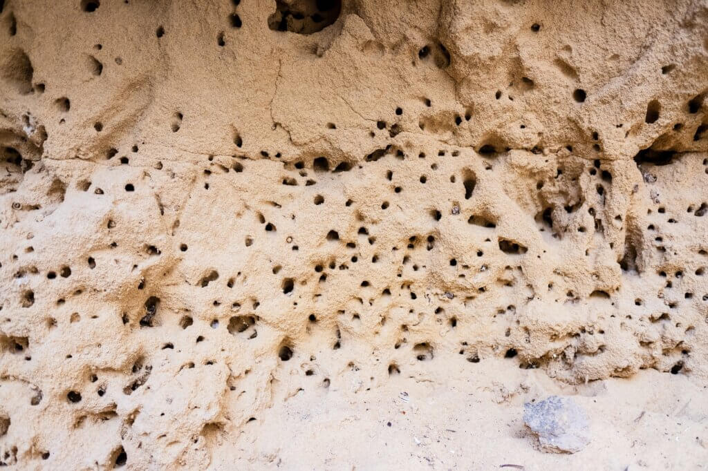 Detail of the side of a hill full of holes made by insects to build their nests.