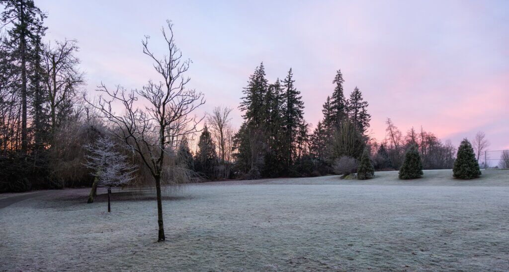 Park in a city neighborhood during a winter sunrise