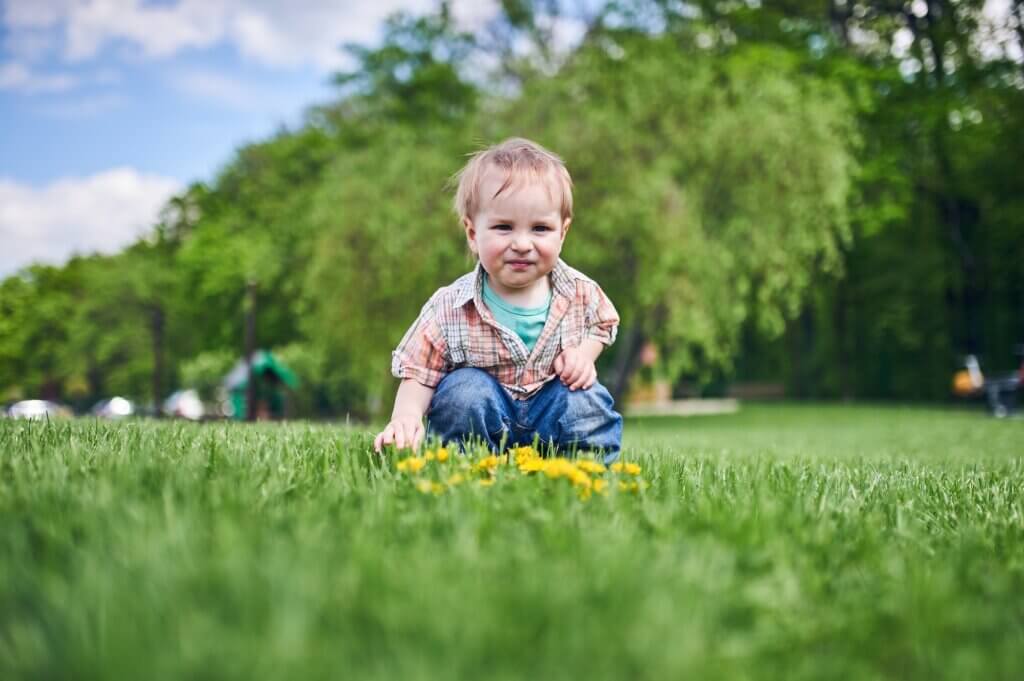 Kid playing with dandelions. How to prevent dandelions.