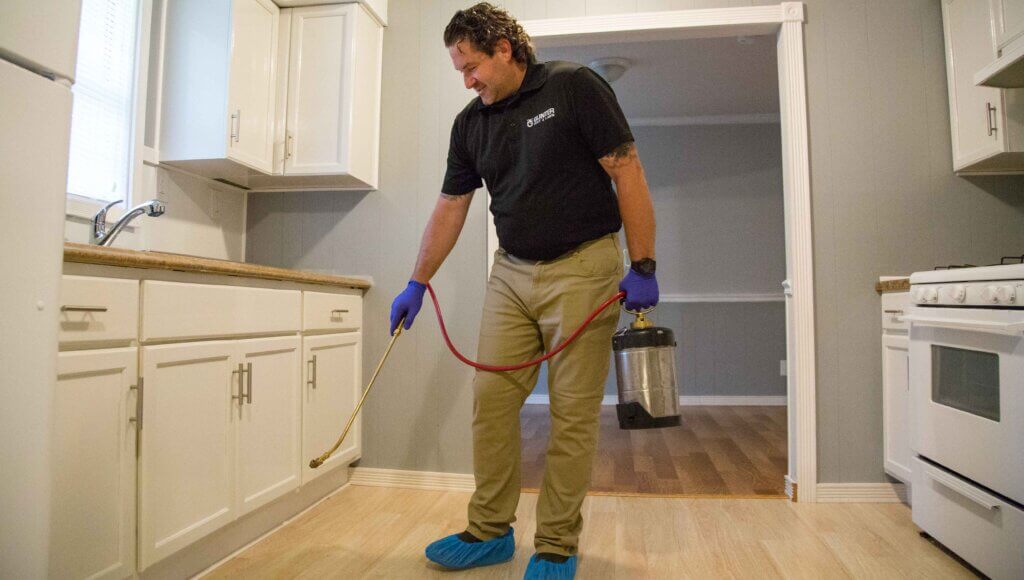 Hire A Licensed Professional Exterminator