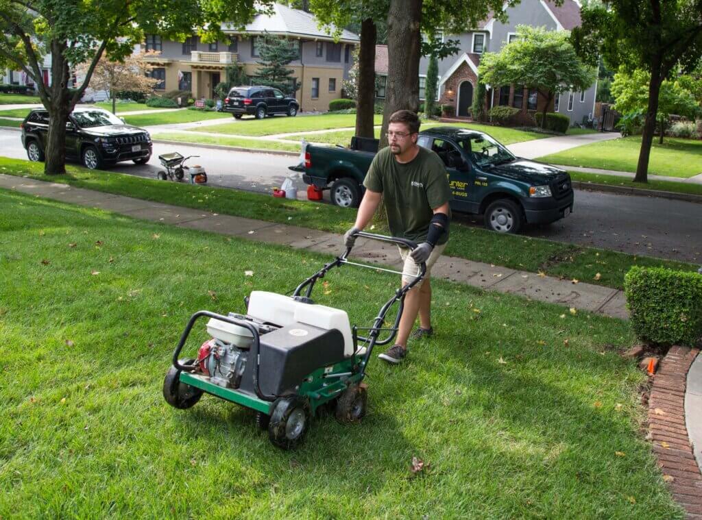 Benefits Of Professional Pest Control