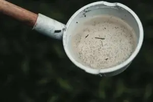 mosquito larvae in a pot
