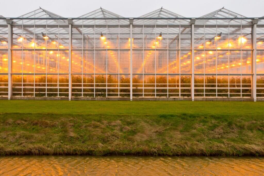 Commercial greenhouse.