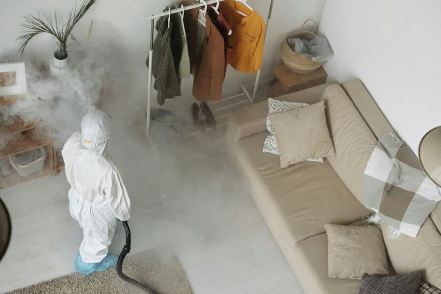 Pest Control Inside The House | Gunter Pest & Lawn | KCMO Pest control inside the house