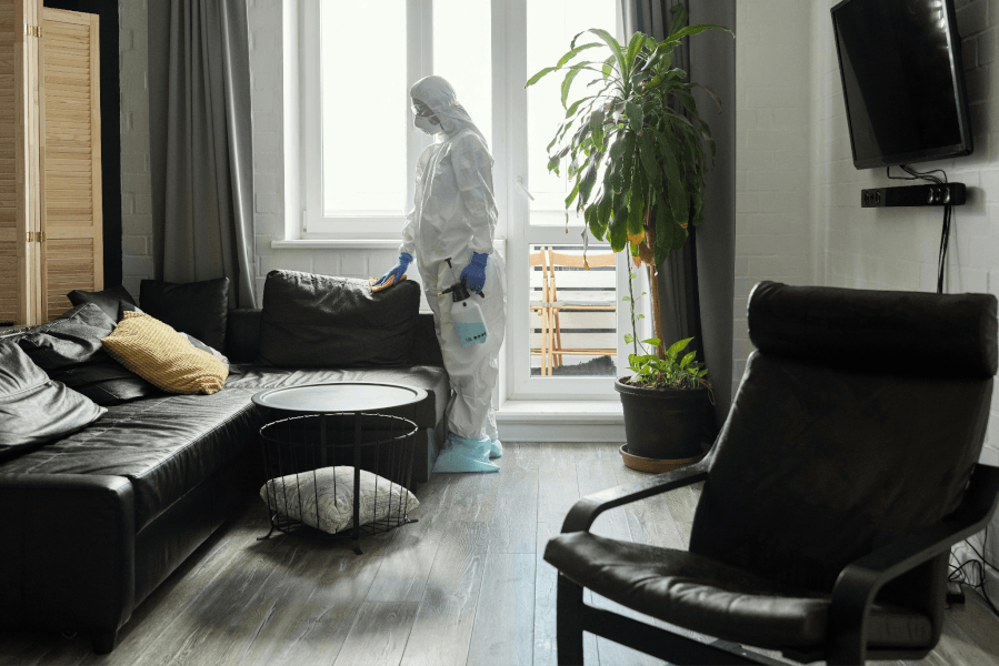 Many pests thrive in the conditions of a vacant home | Gunter Pest & Lawn Many pests thrive in the conditions of a vacant home.